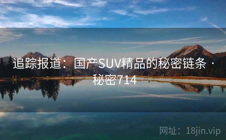 追踪报道：国产SUV精品的秘密链条 · 秘密714