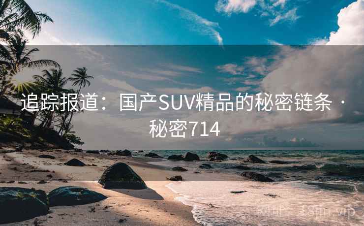 追踪报道:国产SUV精品的秘密链条 · 秘密714