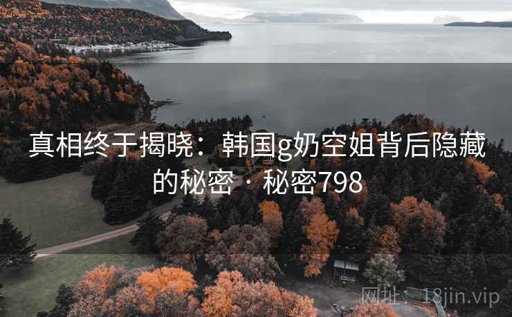真相终于揭晓:韩国g奶空姐背后隐藏的秘密 · 秘密798