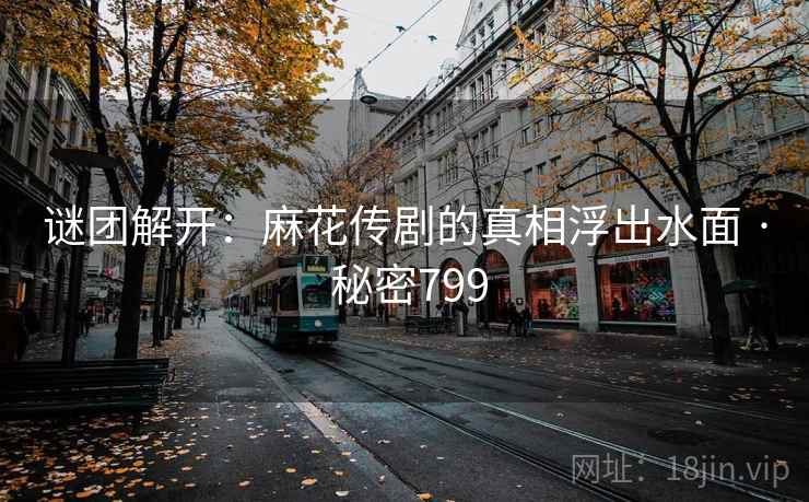 谜团解开:麻花传剧的真相浮出水面 · 秘密799